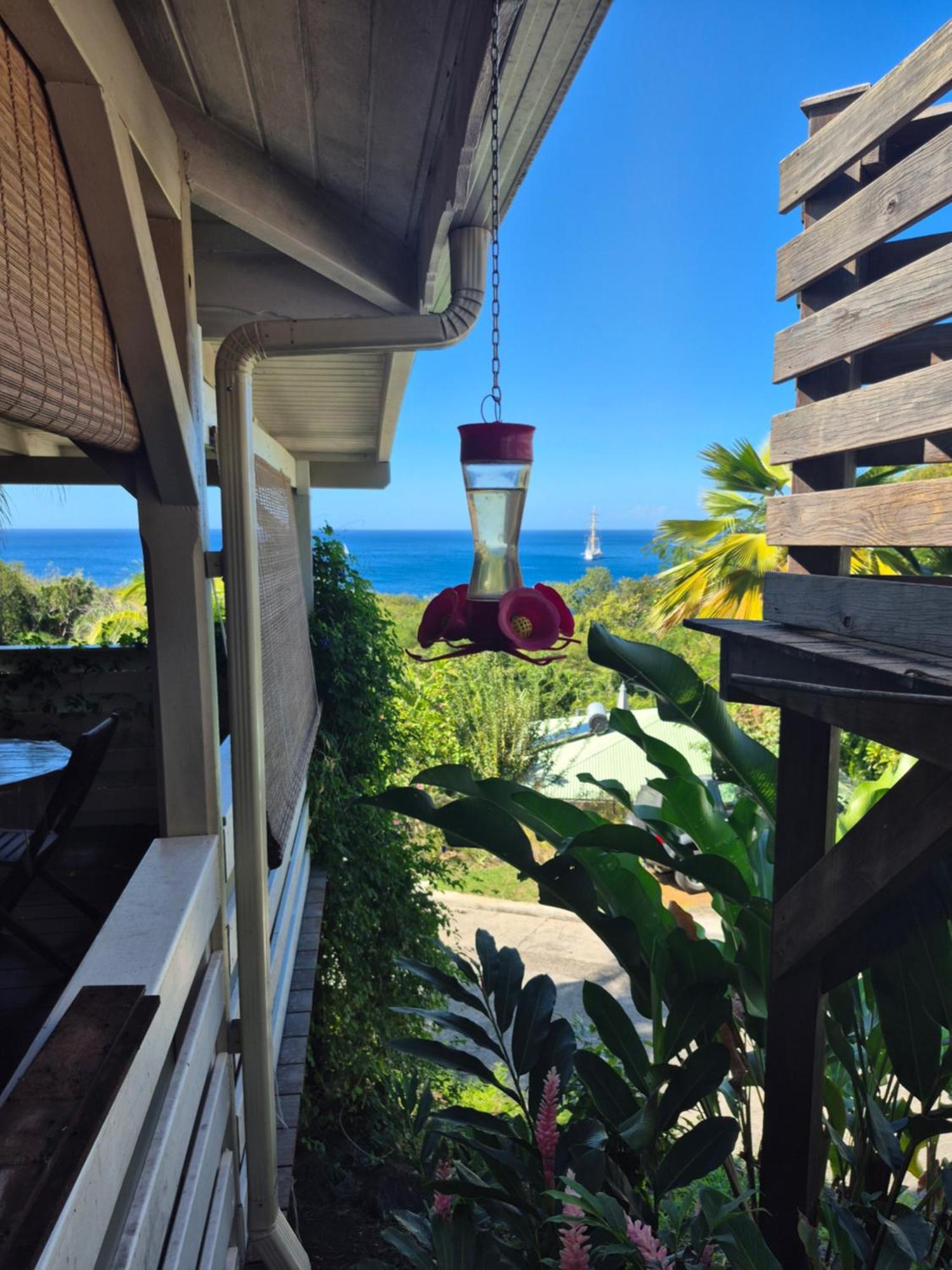 Villa Cannelle, Piscine, Vue Mer Deshaies Bagian luar foto